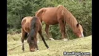 Gay XXX 1